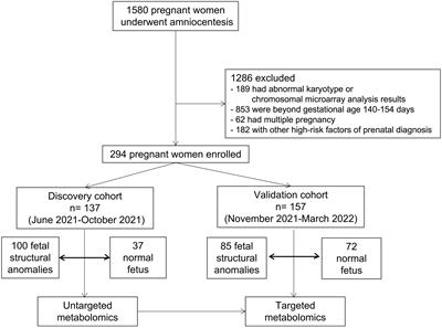 Association between aberrant amino acid metabolism and nonchromosomal modifications fetal structural anomalies: A cohort study